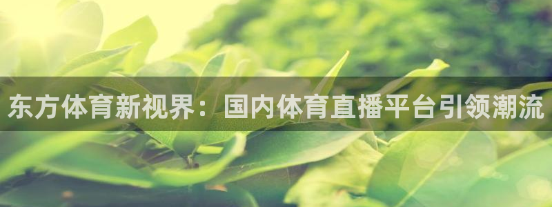 说球帝在线直播：东方体育新视界：国内体育直播平台引领潮流