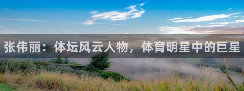 说球帝直播网站：张伟丽：体坛风云人物，体育明星中的巨星