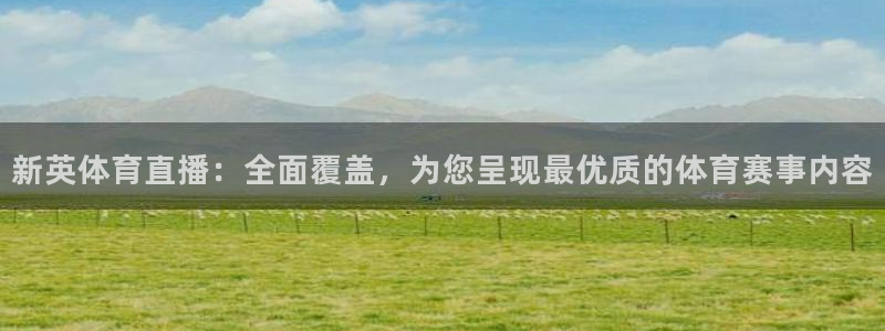 说球帝nba直播在线观看免费：新英体育直播：全面覆盖，为您呈现最优质的体育赛事内容