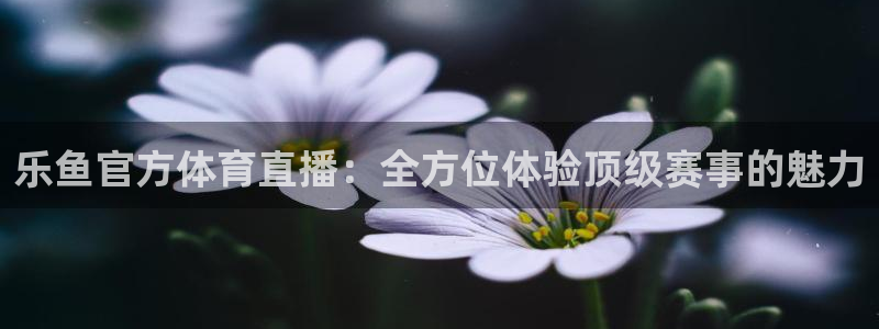 说球帝直播网：乐鱼官方体育直播：全方位体验顶级赛事的魅力
