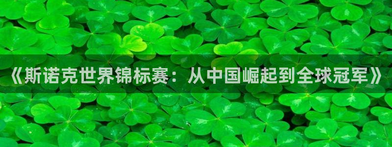 nba直播说球帝：《斯诺克世界锦标赛：从中国崛起到全球冠军》