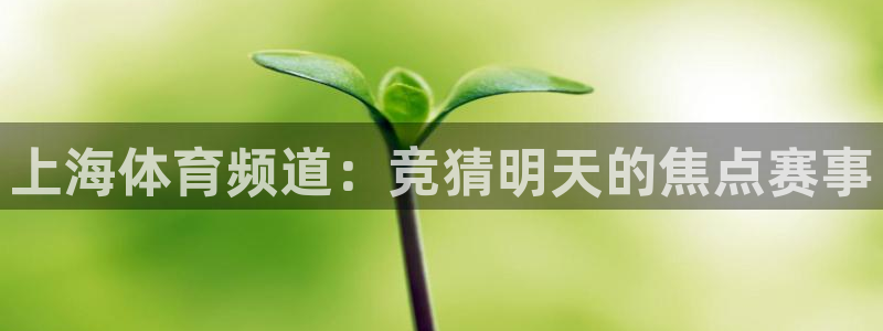 说球帝24小时直播在线观看：上海体育频道：竞猜明天的焦点赛事