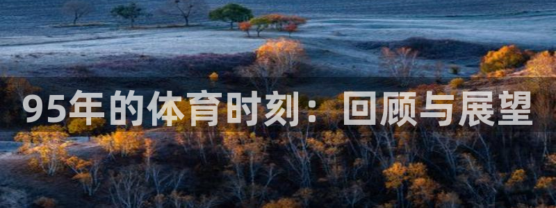 说球帝nba直播在线观看免费下载：95年的体育时刻：回顾与展望