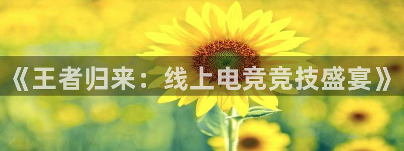说球帝直播网站：《王者归来：线上电竞竞技盛宴》