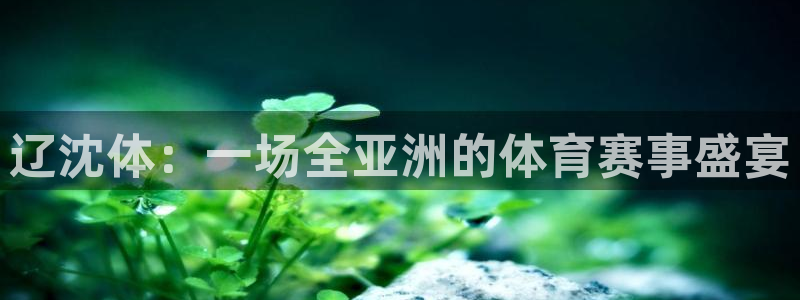 说球帝网页直播：辽沈体：一场全亚洲的体育赛事盛宴